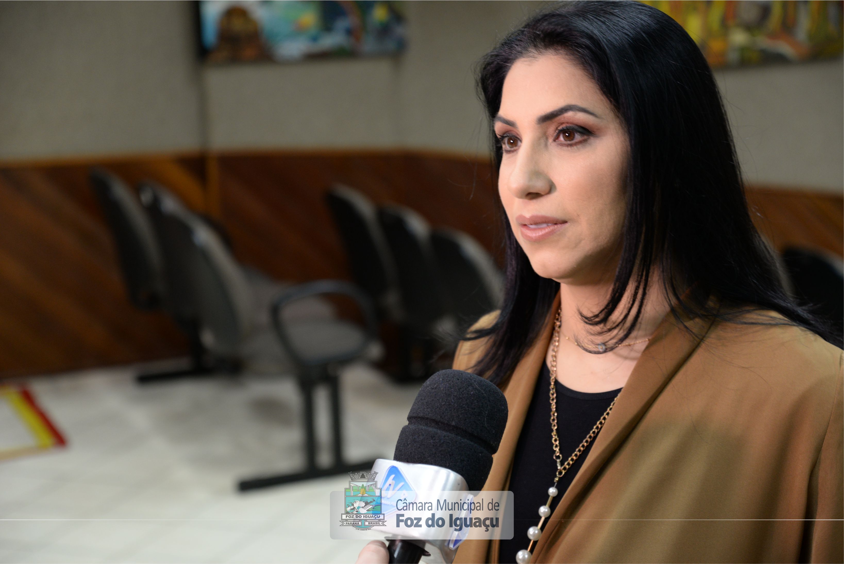 vereadora-anice-gazzaoui-cmfi-entrevista01.jpg — Câmara Municipal de Foz do  Iguaçu - PR