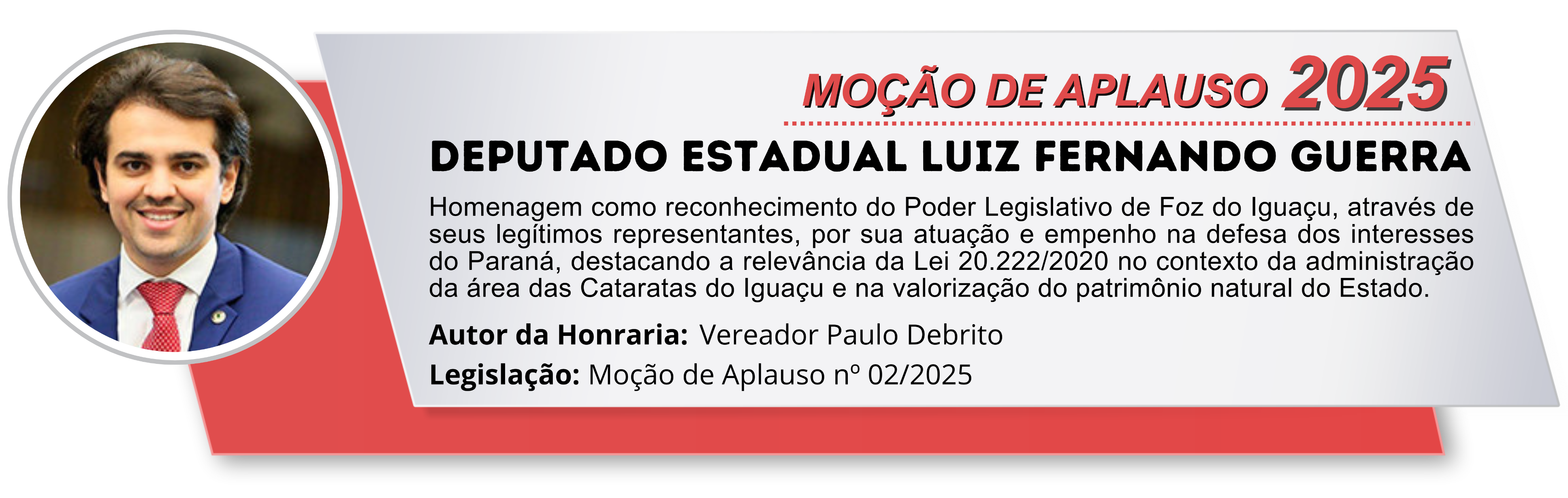 DEPUTADO ESTADUAL LUIZ FERNANDO GUERRA