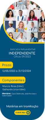 Bancadas 2023 - Independente.png
