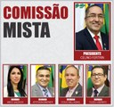 COMISSÕES PERMANENTES 2020 - Mista