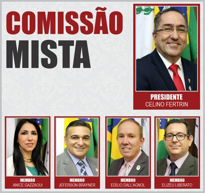 COMISSÕES PERMANENTES 2020 - Mista