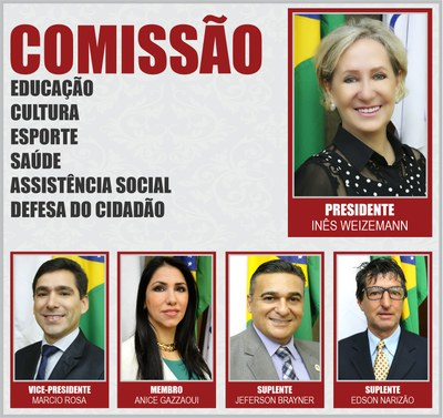 COMISSÕES PERMANENTES 2020 - ECESASDC