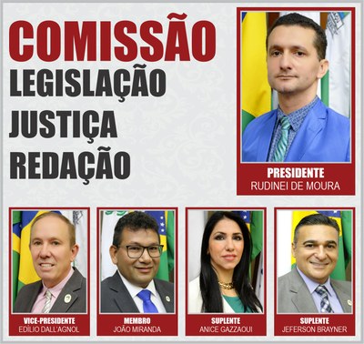 COMISSÕES PERMANENTES 2020 - LJR