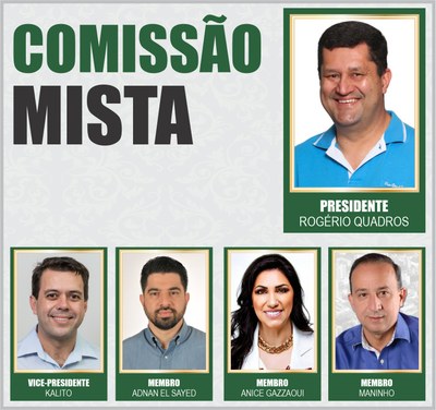 Comissão Mista