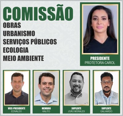 Comissões Permanentes 2021 - OUSPEMA.jpeg