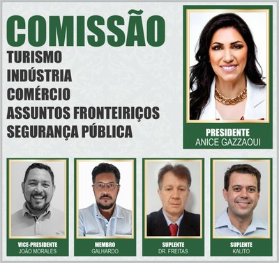 Comissões Permanentes 2021 - TICAFSP.jpeg