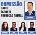 COMISSÕES PERMANENTES 2024 - CSEPA.jpg