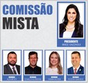 COMISSÕES PERMANENTES 2024 - MISTA.jpg