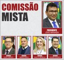 Comissão Mista - 2019