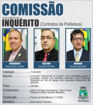 COMISSÕES TEMPORÁRIAS 2020 - Contratos Públicos.jpg