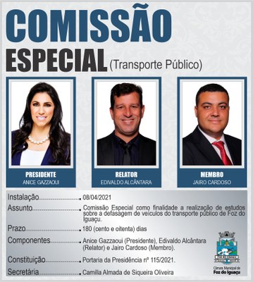 COMISSÕES TEMPORÁRIAS 2021 - Transporte Público