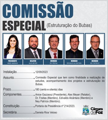 COMISSÕES TEMPORÁRIAS 2023 - estruturação do bubas.jpg
