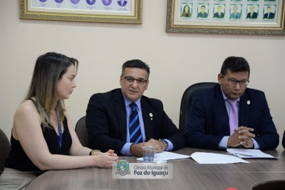 Apresentação do relatório final da Comissão de Alagamentos - 01-10 (11)