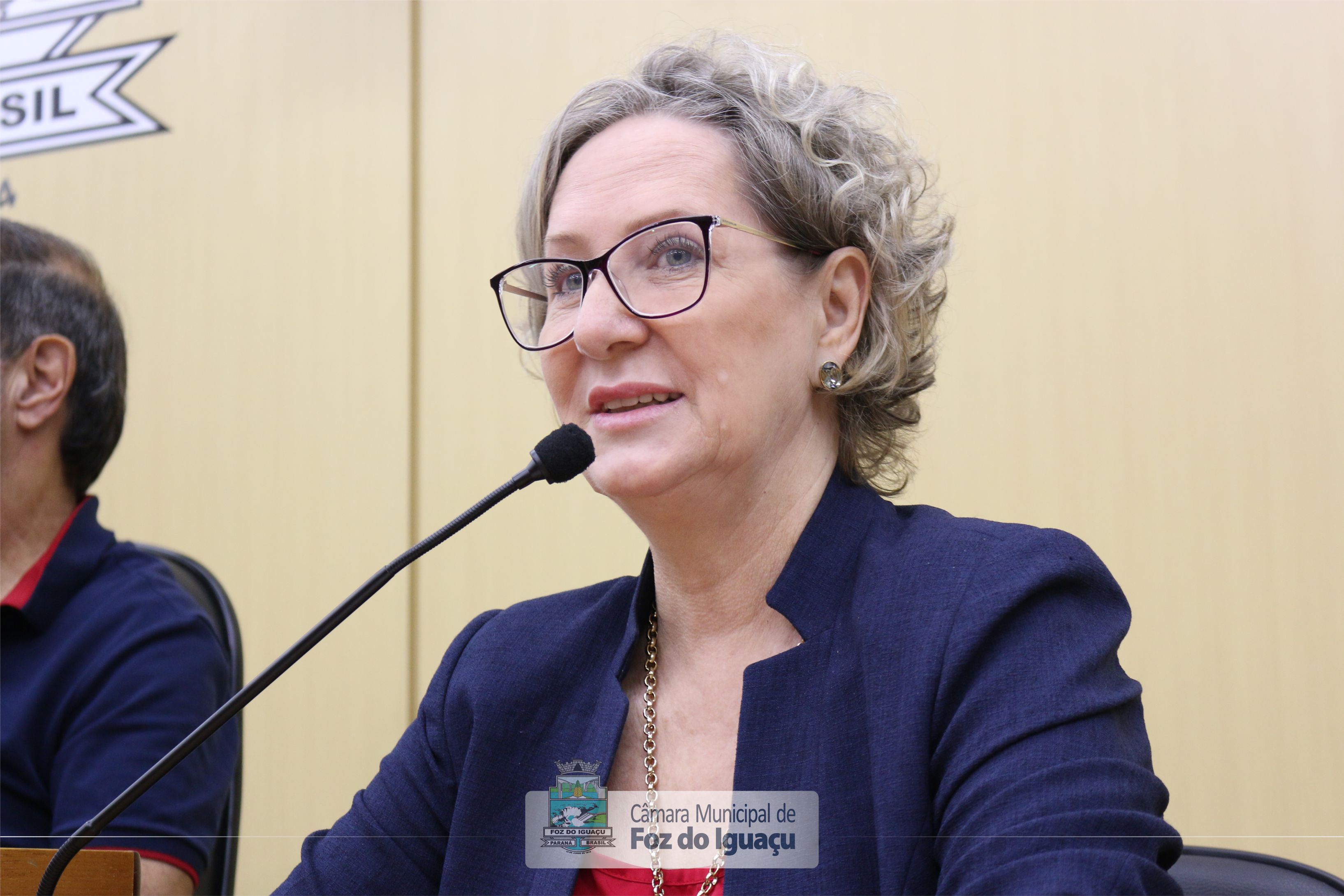 Audiência do Plano Municipal de Saneamento Básico - 26-11