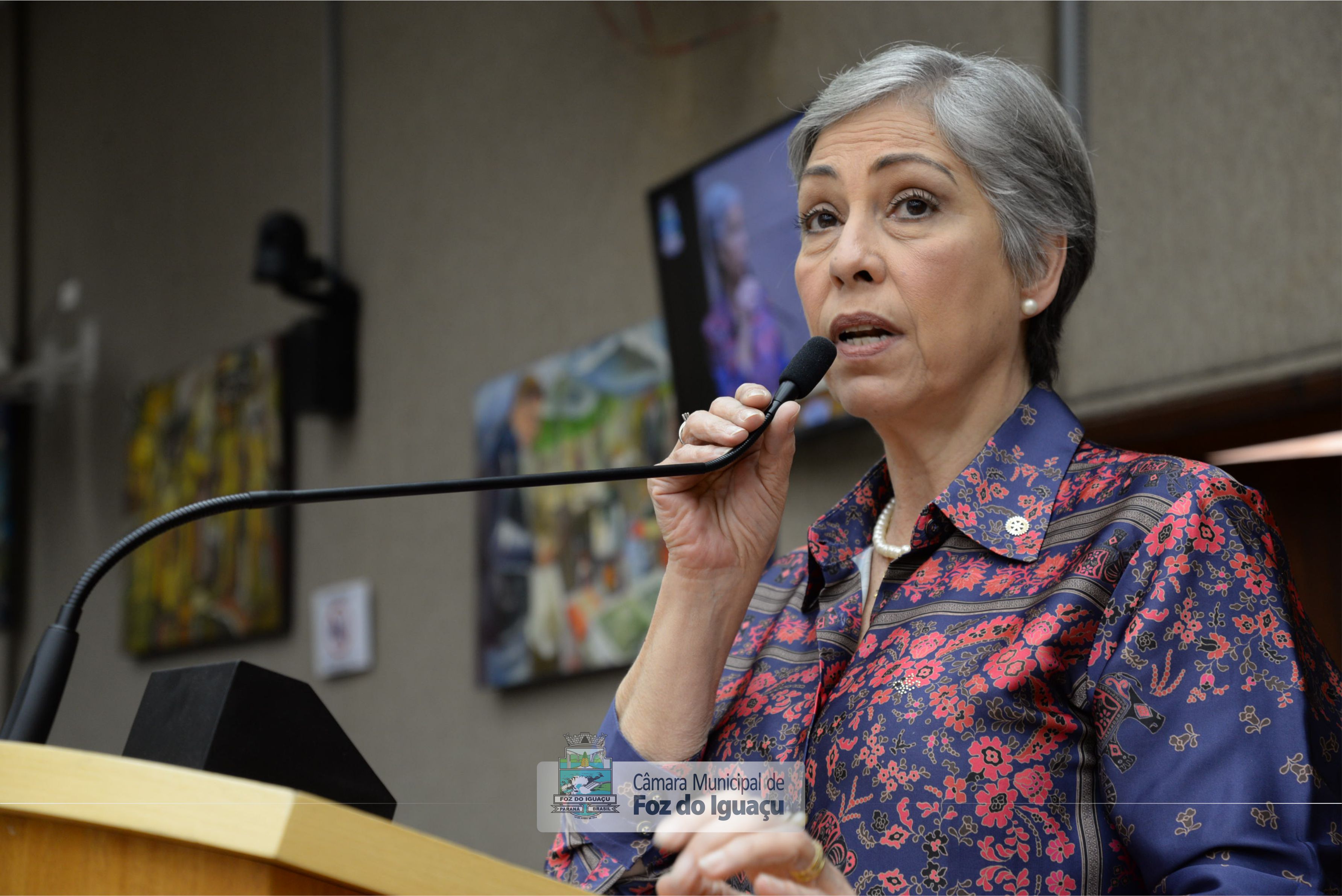 Audiência Pública - Distrito Industrial 