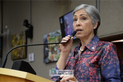 Audiência Pública - Distrito Industrial 