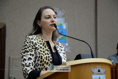 Audiência Pública - Distrito Industrial 