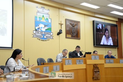Audiência Pública para debater a Lei Orçamentária Anual - 13-11