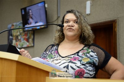 Audiência Pública para debater a Lei Orçamentária Anual - 13-11