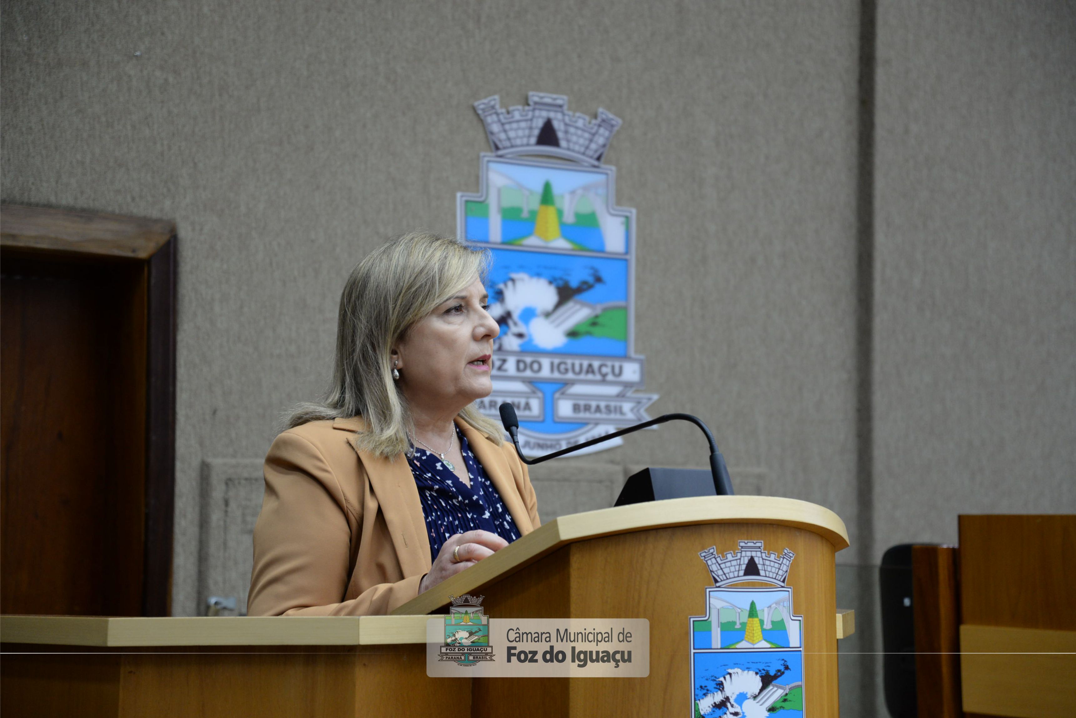 Audiência Pública sobre a regionalização do SAMU - 09-08 (06)