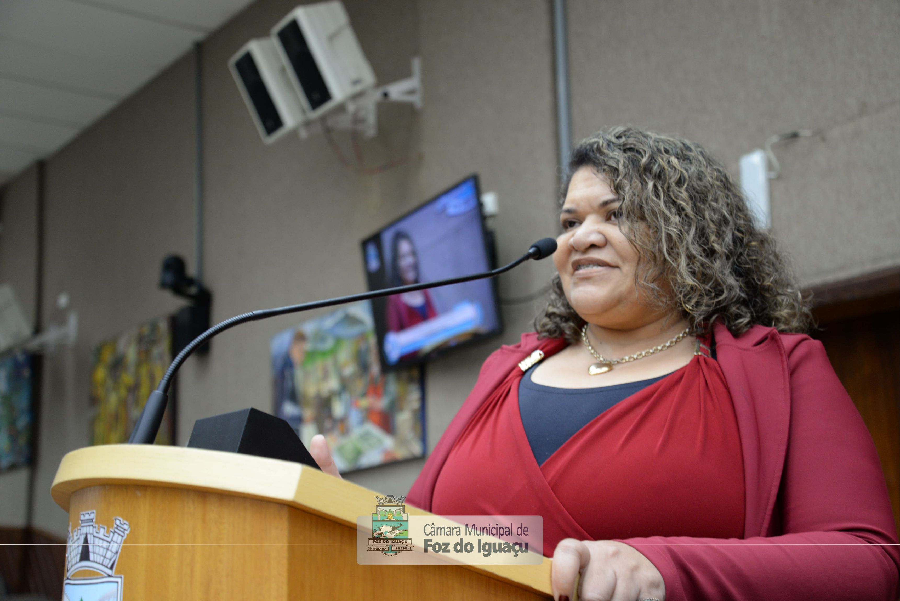 Audiência Pública sobre a regionalização do SAMU - 09-08 (08)