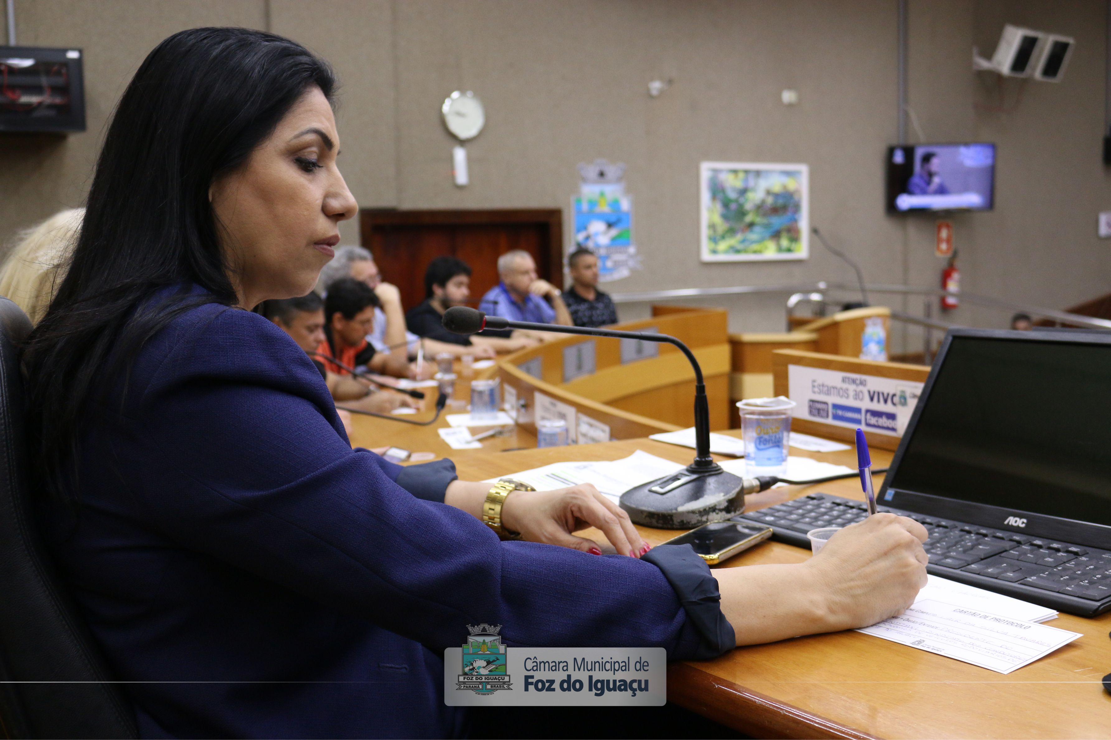 Audiência Pública - Transporte Coletivo (29-11-2019)