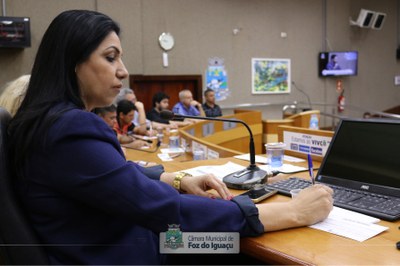 Audiência Pública - Transporte Coletivo (29-11-2019)