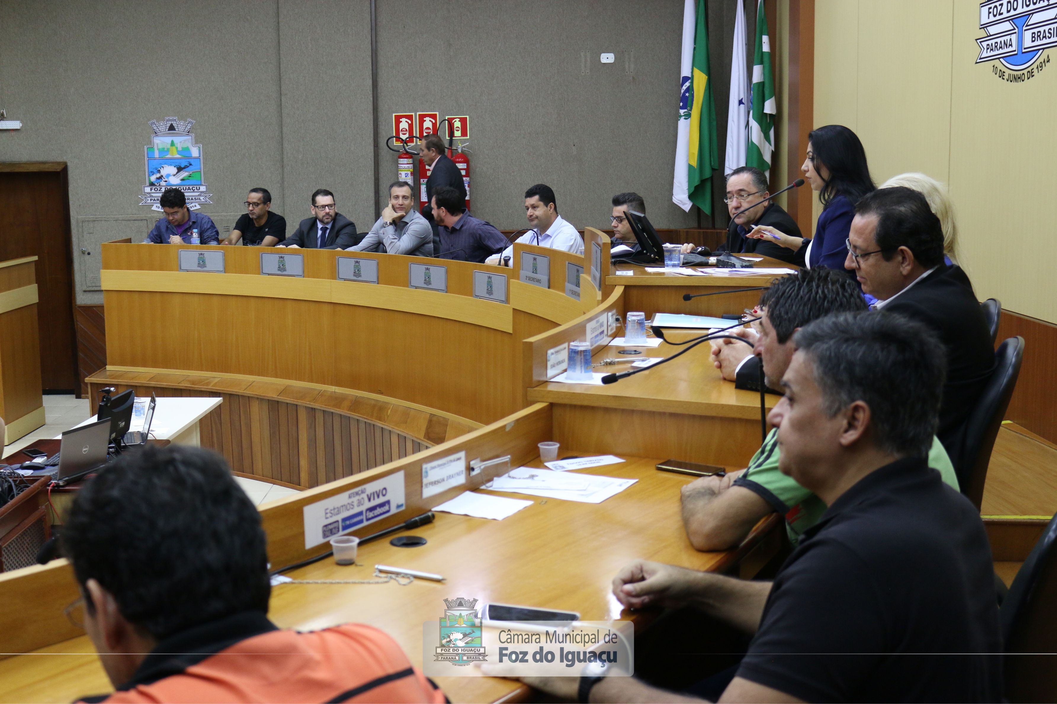 Audiência Pública - Transporte Coletivo (29-11-2019)