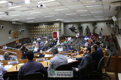 Audiência Pública - Transporte Coletivo (29-11-2019)