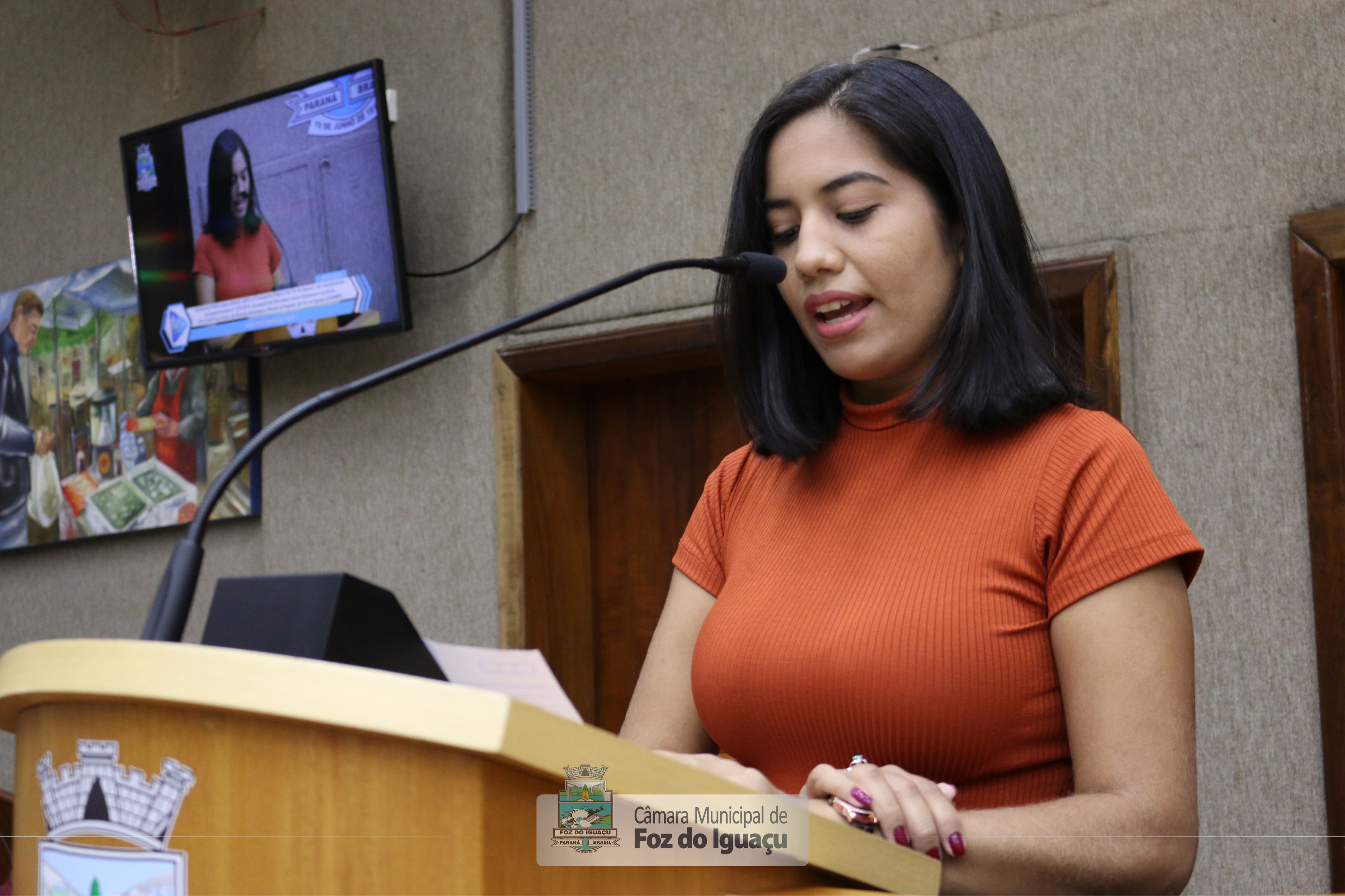 Audiência Pública - Transporte Coletivo (29-11-2019)