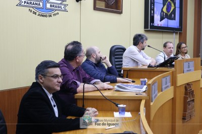 Audiência Quadrimestral da Saúde - 31-05 (04)