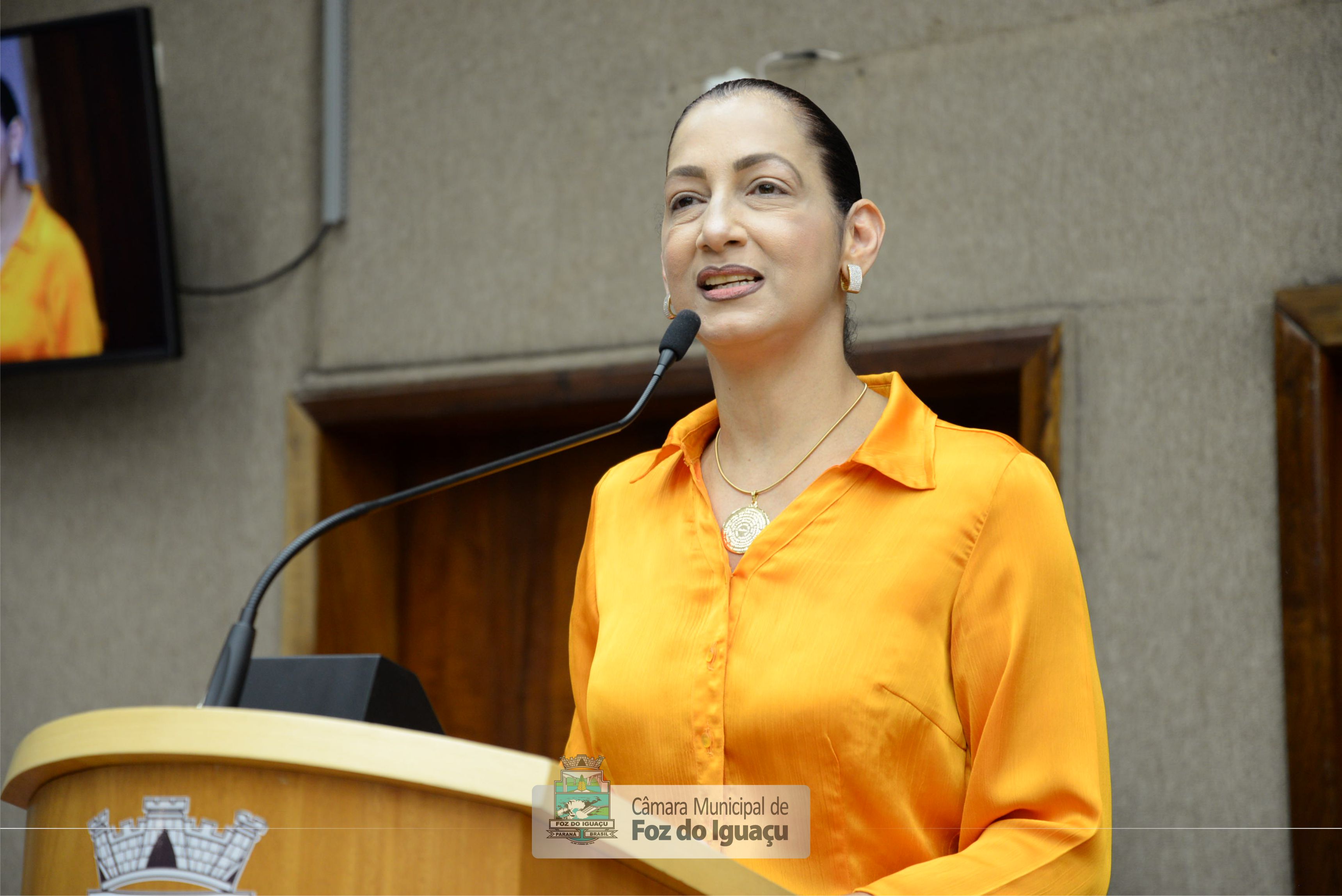 Moção de Aplauso 24/2019 - Júlia Cornetta - 05-11 (05)