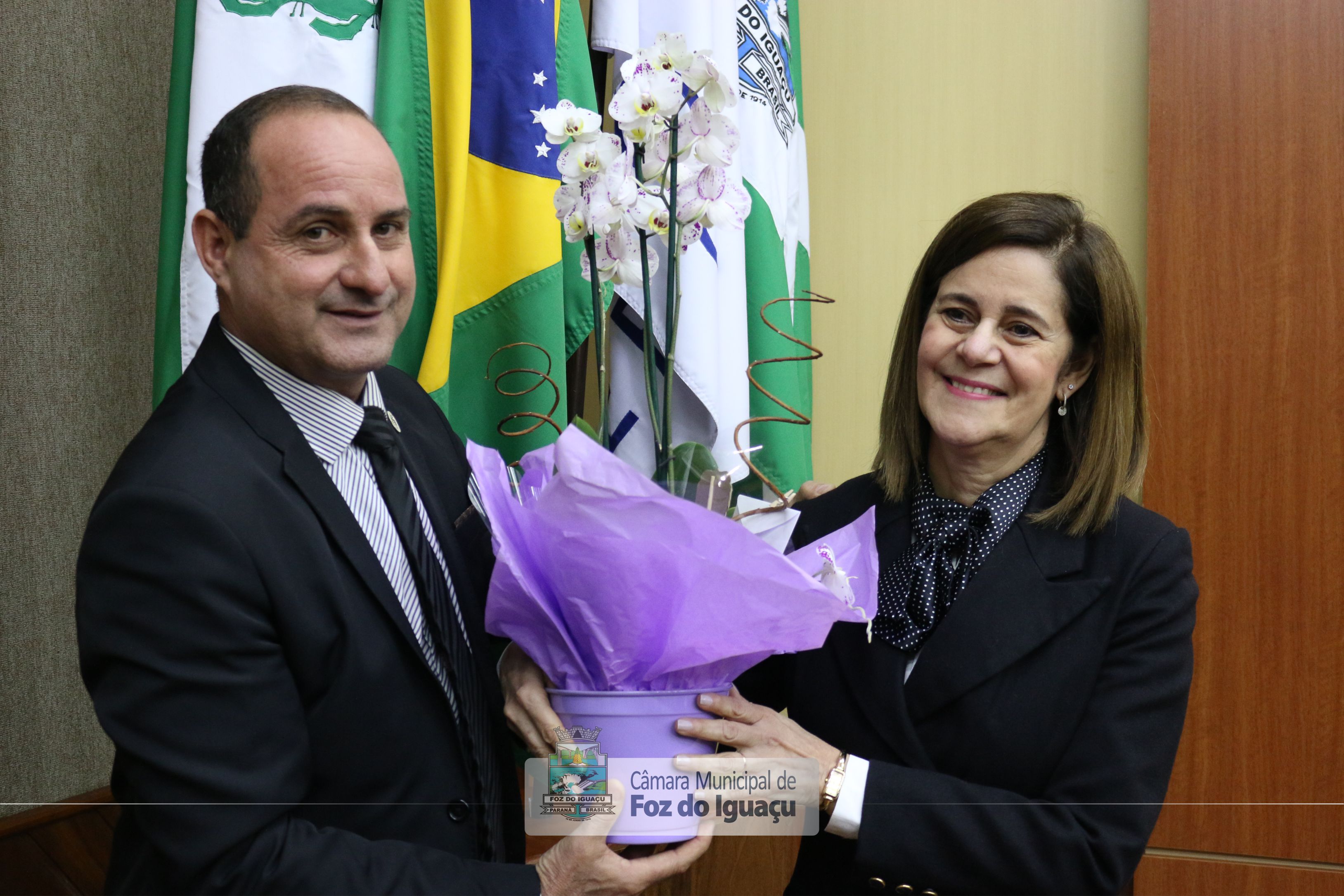Moção de Aplauso Dra. Ana Heloisa - 04-06 (06)