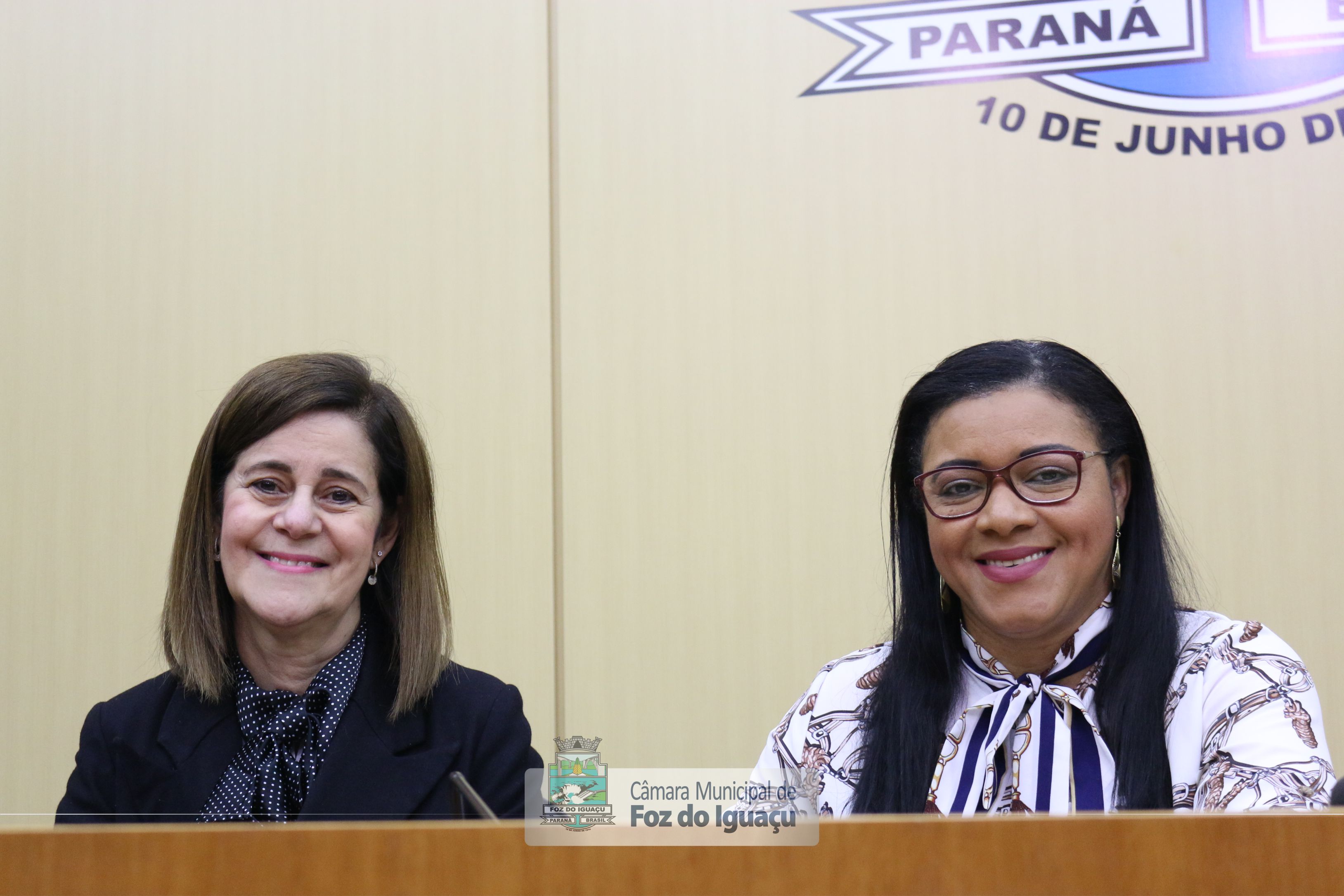 Moção de Aplauso Dra. Ana Heloisa - 04-06 (08)