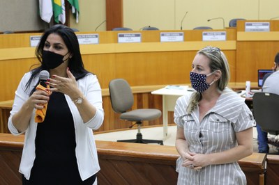 Reunião bancada feminina com rede de proteção à mulher (19/02/2021)