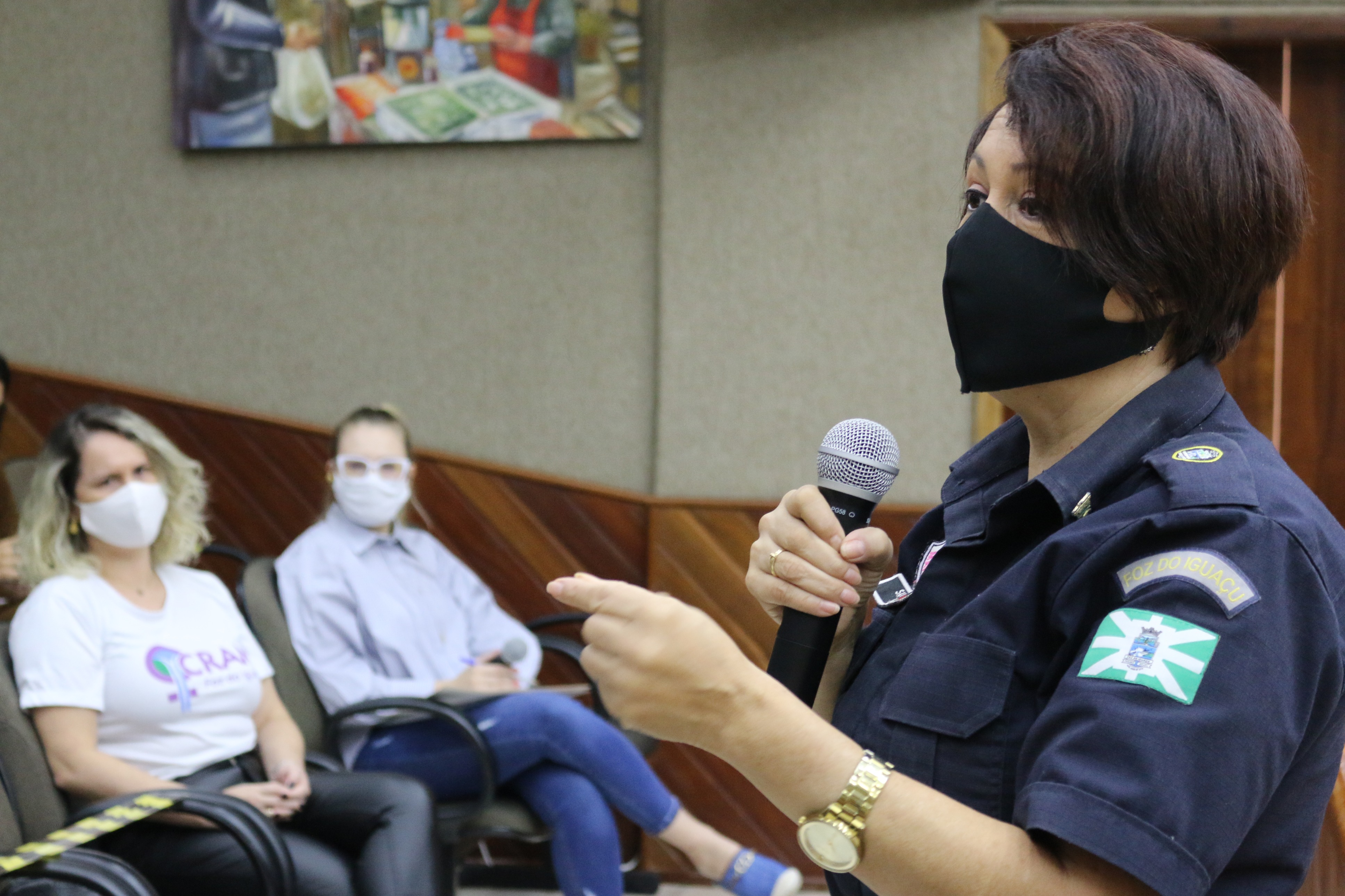 Reunião bancada feminina com rede de proteção à mulher (19/02/2021)