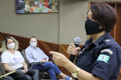 Reunião bancada feminina com rede de proteção à mulher (19/02/2021)