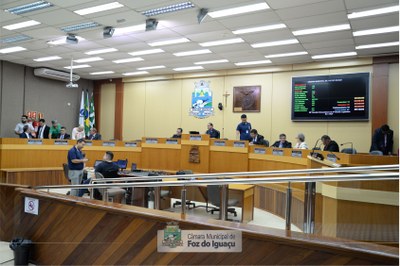 Sessão Extraordinária - 17-10 (01)