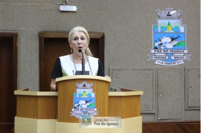 Sessão Extraordinária 22-02-2019 (06)