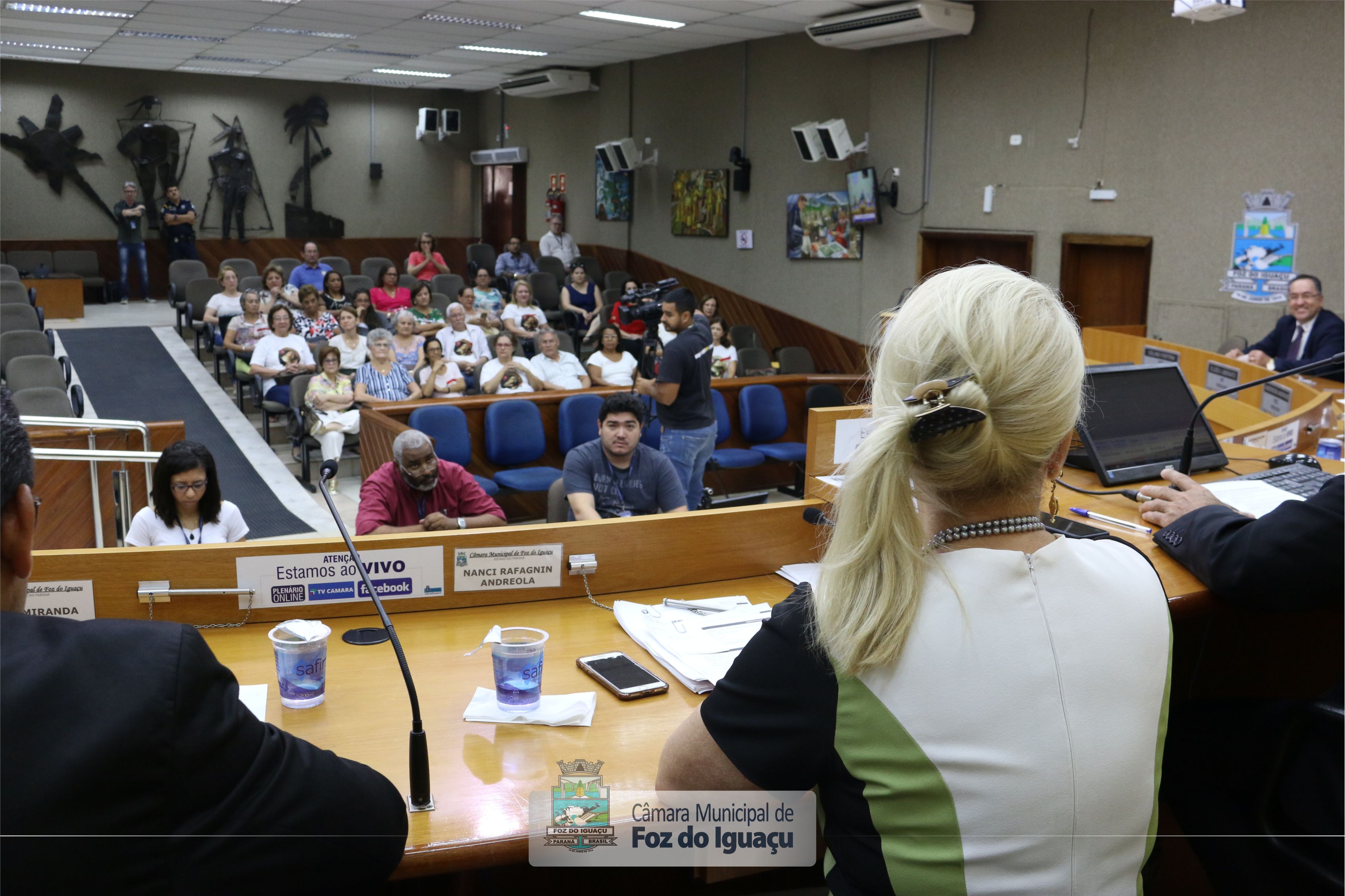 Sessão Extraordinária 22-02-2019 (10)