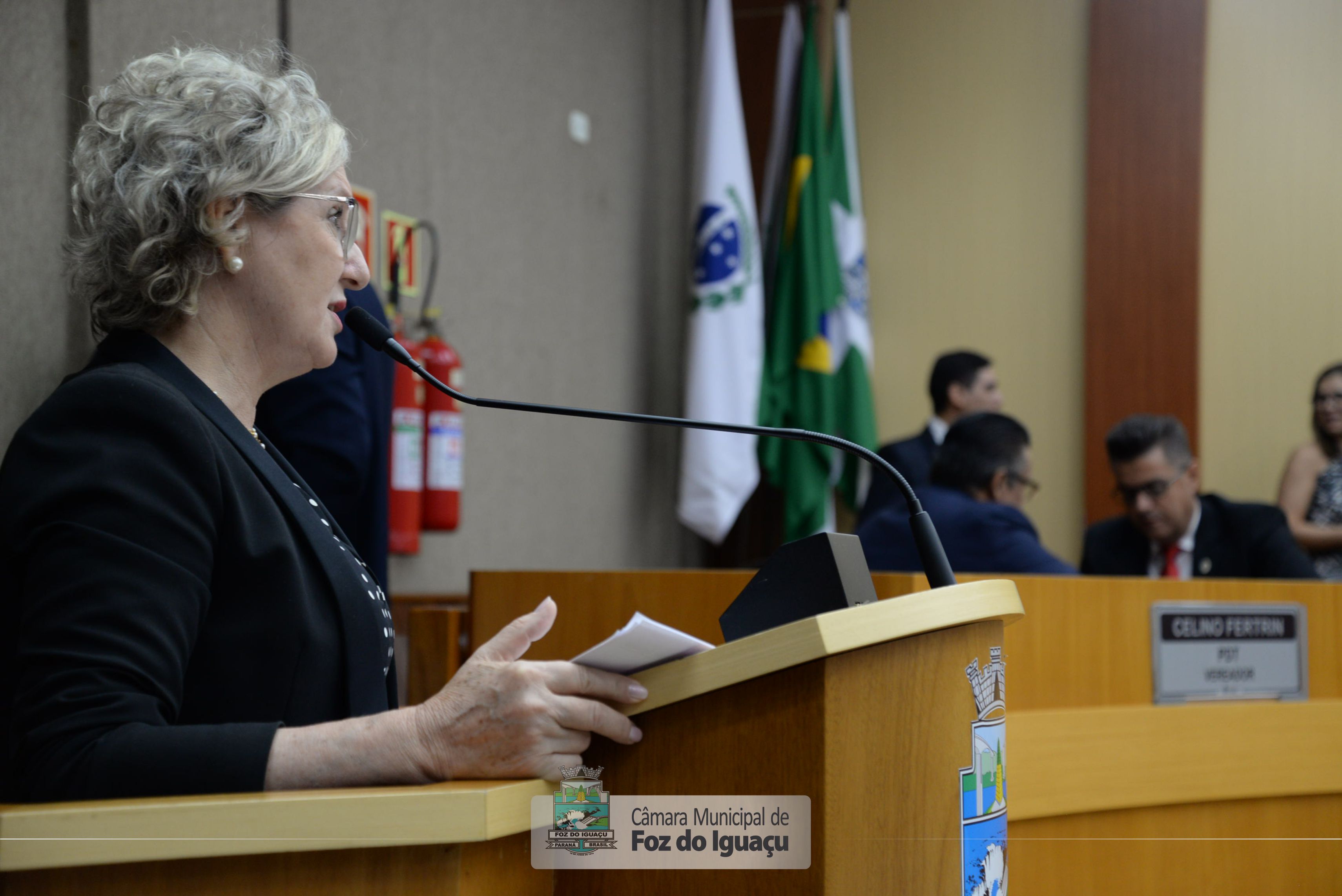 Sessão Ordinária - 11/02/2020