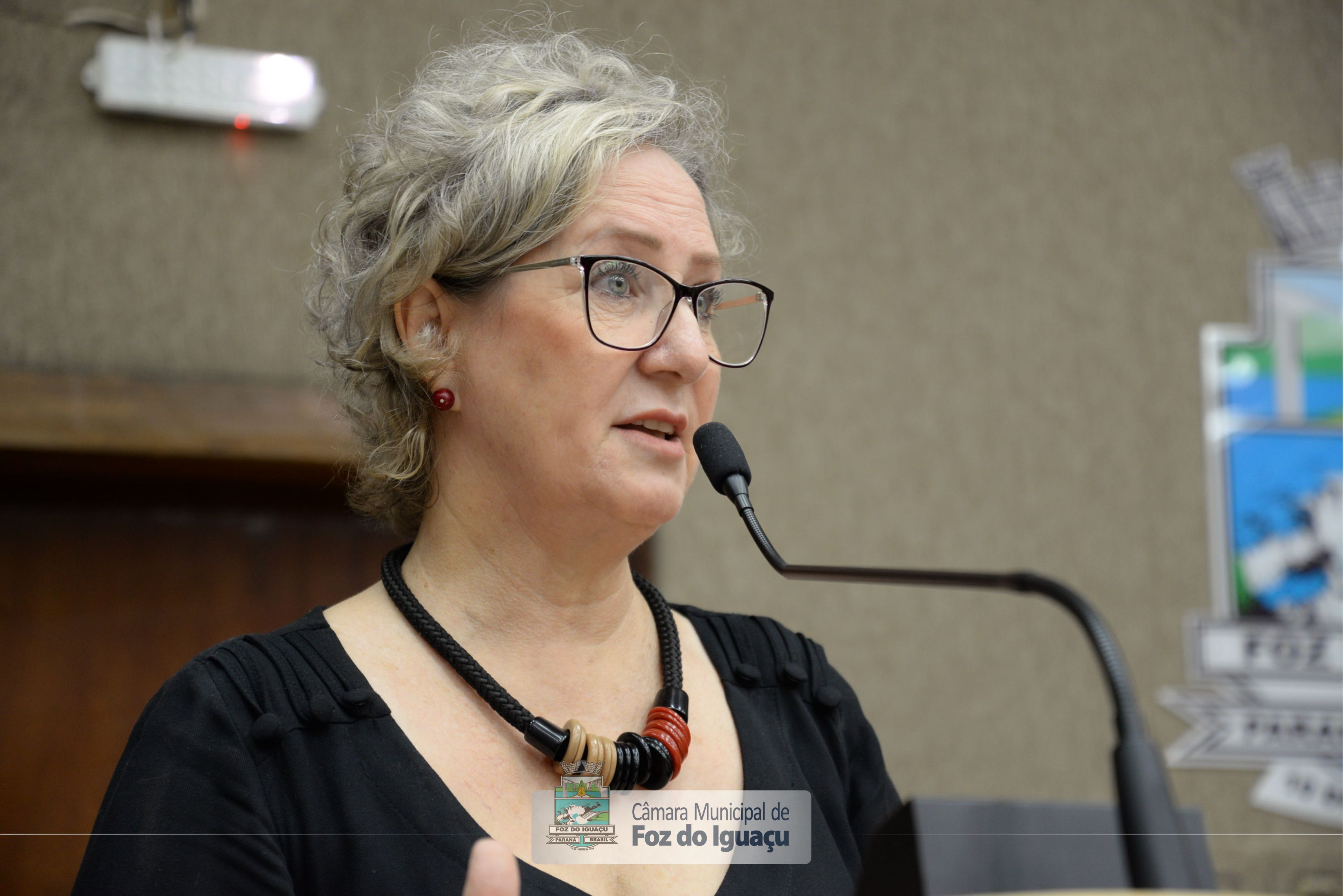 Sessão Ordinária - 18/02/2020