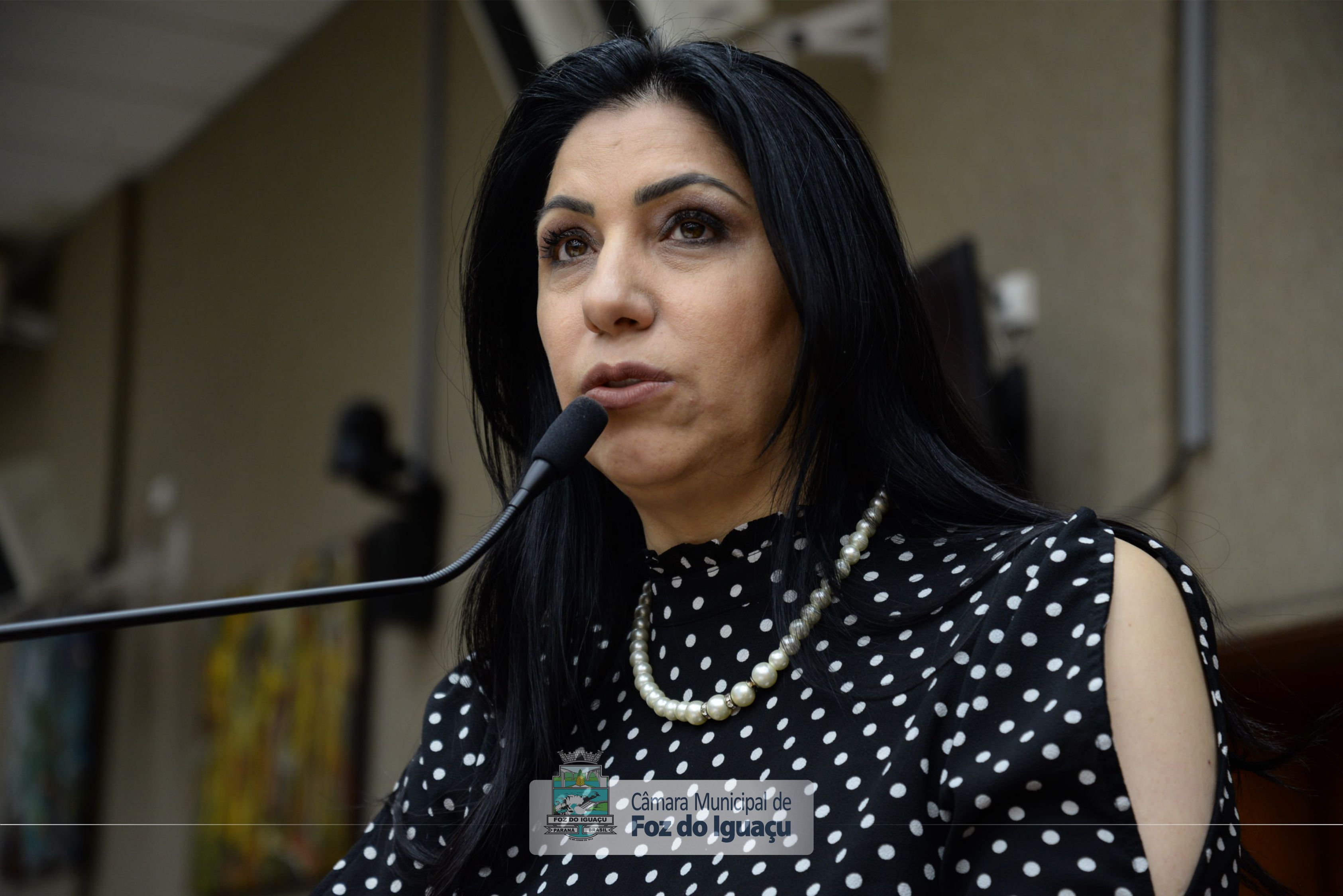 Sessão Ordinária e Extraordinária - 01-10 (11)