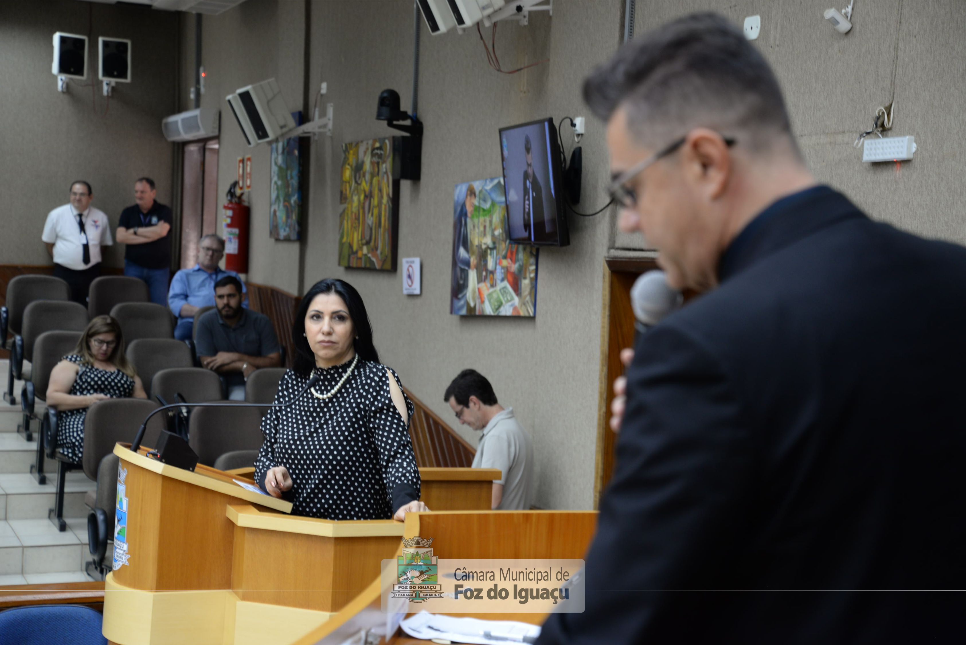 Sessão Ordinária e Extraordinária - 01-10 (13)