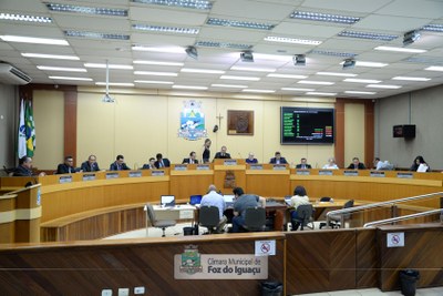 Sessão Ordinária e Extraordinária - 01-10 (20)