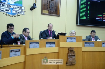 Sessão Ordinária e Extraordinária - 03-10 (10)