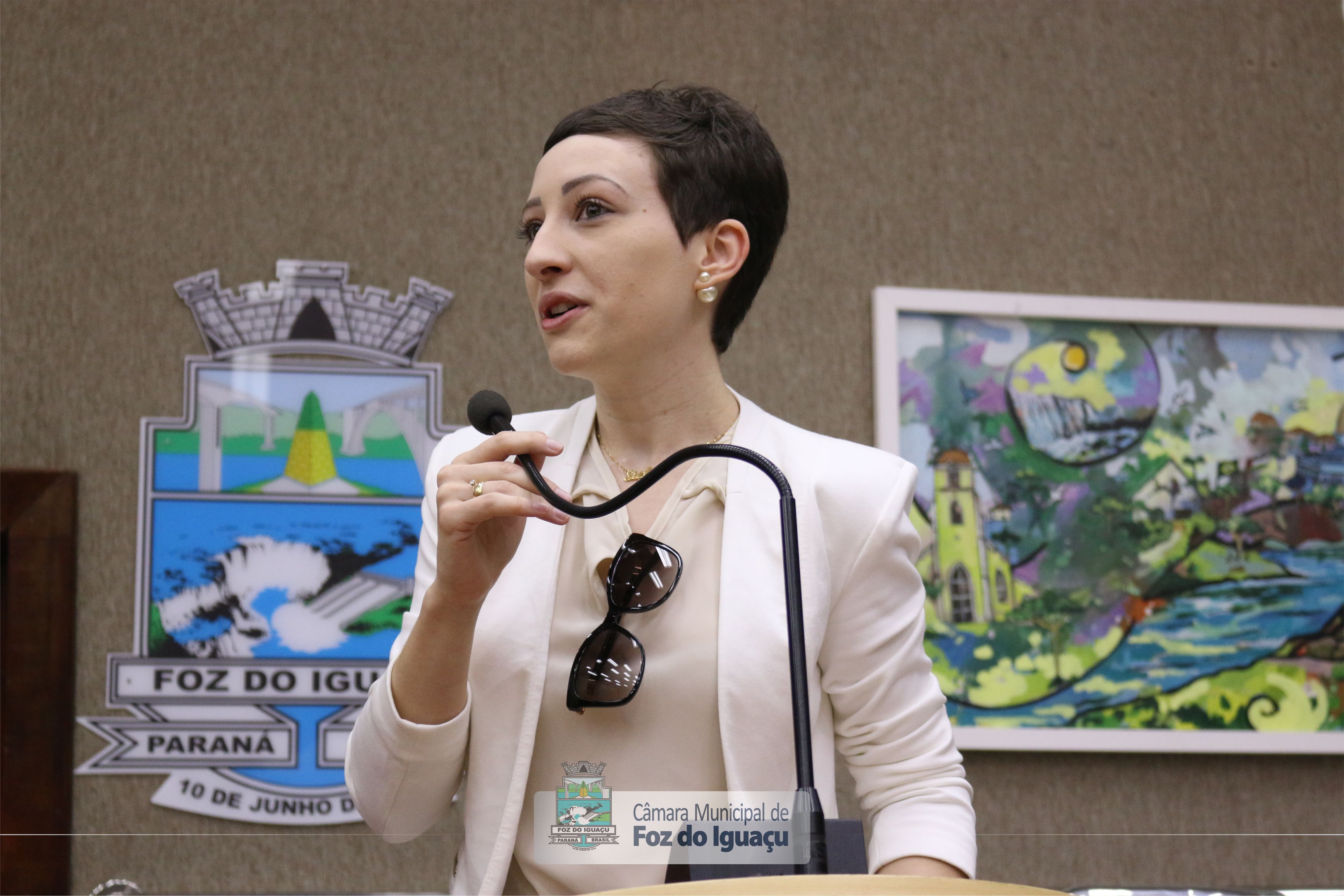 Sessão Ordinária e Extraordinária - 11-06 (07)