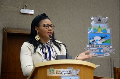 Sessão Ordinária e Extraordinária - 11-07 (03)