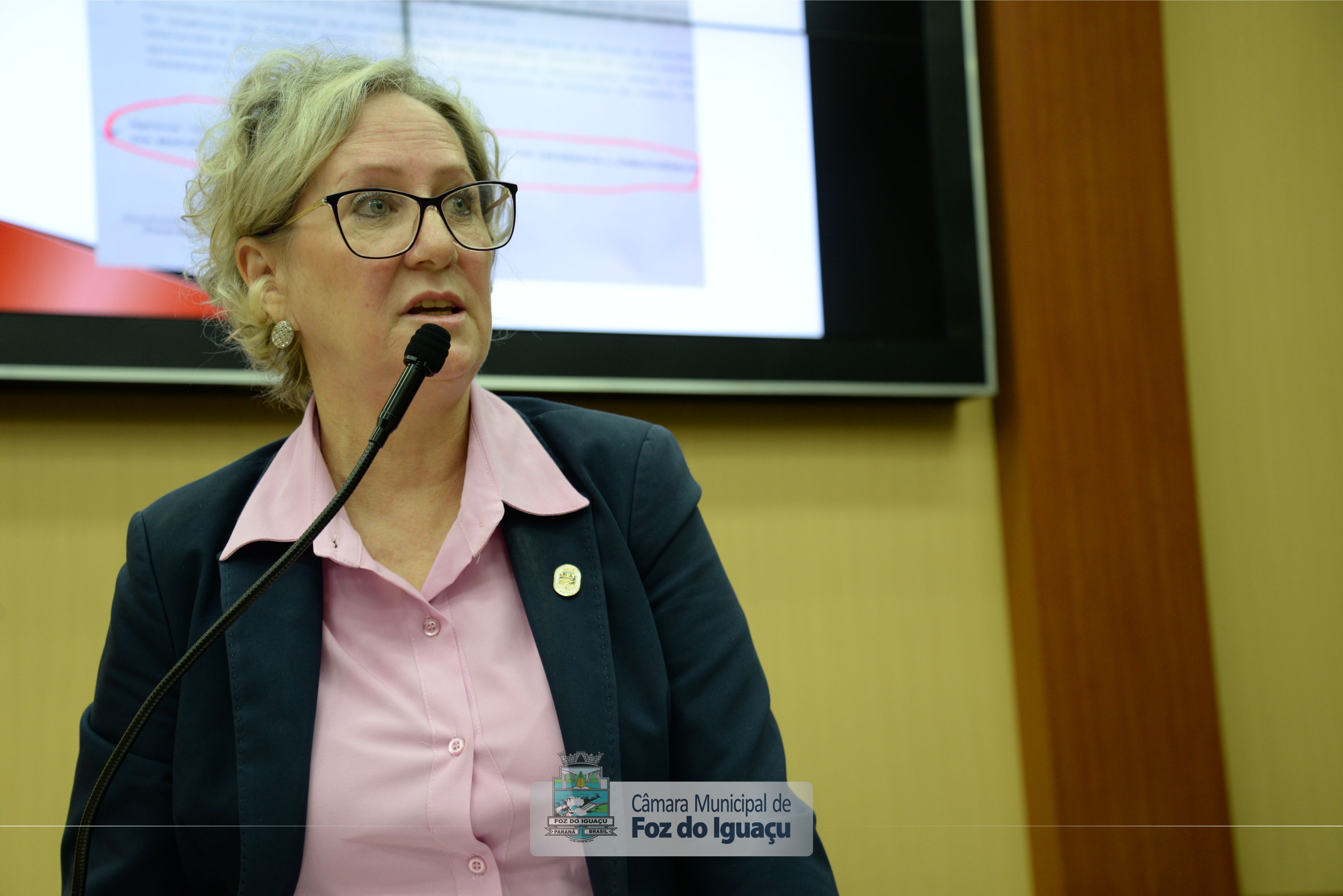 Sessão Ordinária e Extraordinária - 11-07 (04)