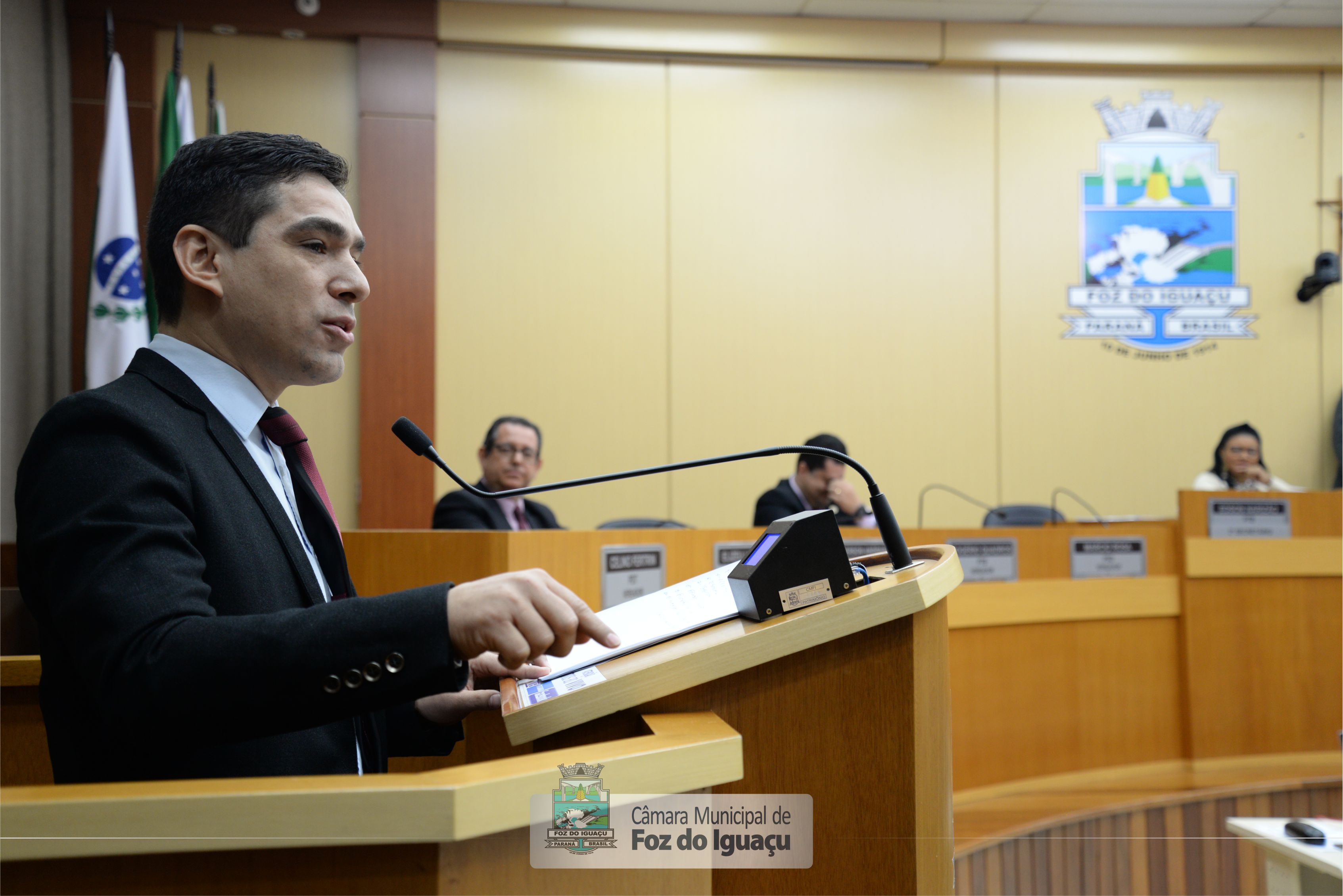 Sessão Ordinária e Extraordinária - 11-07 (12)